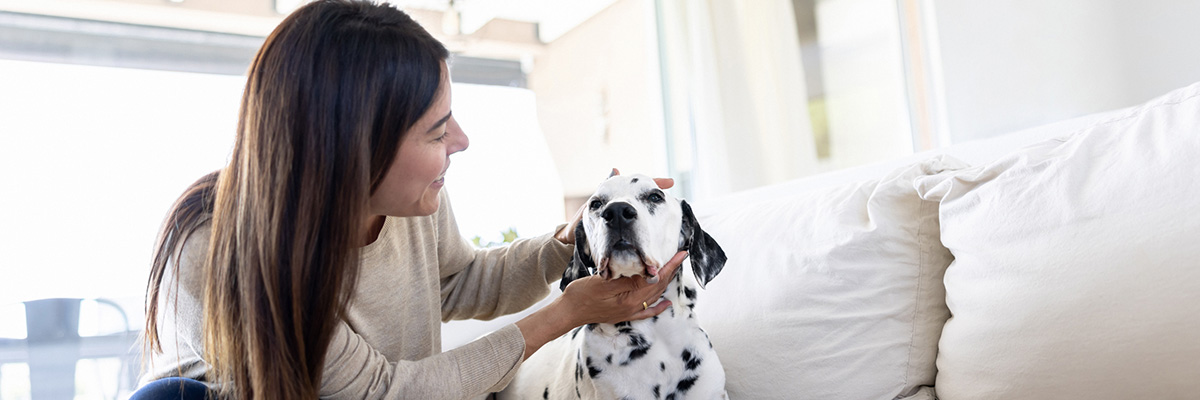 Virginia Pet insurance coverage