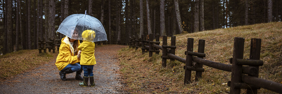 Virginia Umbrella insurance coverage